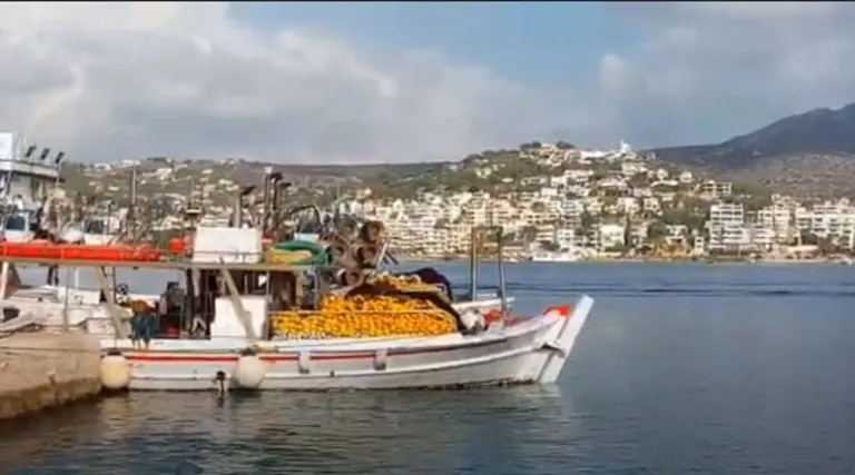 Πόρτο Ράφτη: Μια χειμωνιάτικη βόλτα στο λιμάνι (βίντεο)